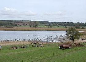 Grimnitzsee