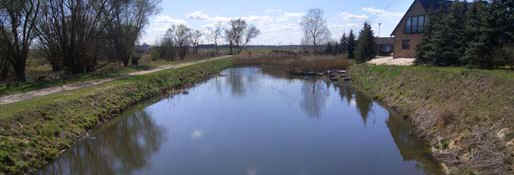 Teich an der Fischerstube Warnau