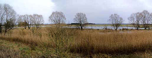 Drinowhavel