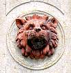 Lwenkopf am Schloss Prtzel